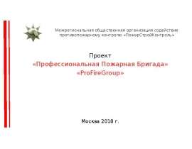 Проект «Профессиональная Пожарная Бригада» «ProFireGroup»