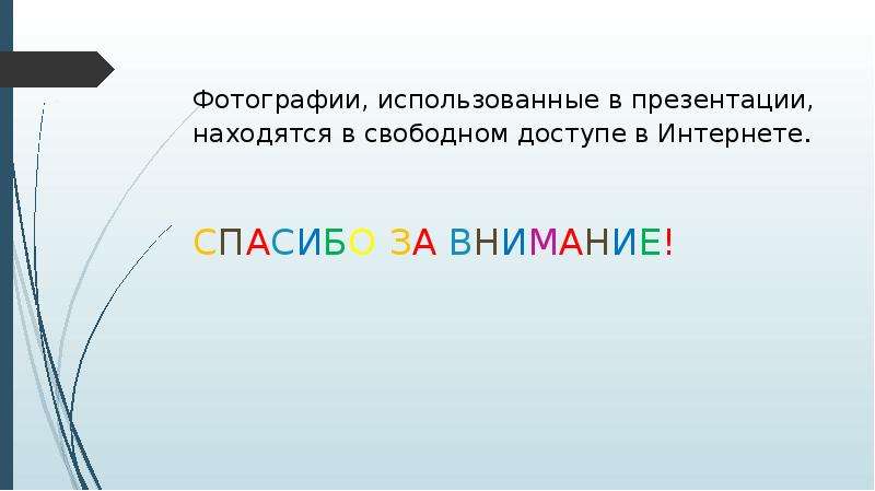 На слайде презентации что может находиться