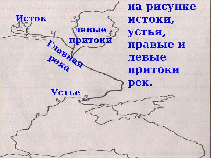 Какими цифрами на рисунке обозначены исток реки устье реки правый приток левый приток