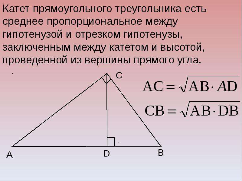Геометрия 8 класс прямоугольный треугольник. Пропорциональные отрезки в прямоугольном треугольнике 8. Пропорциональность отрезков в прямоугольном треугольнике. Катет прямоугольного треугольника есть среднее пропорциональное. Пропорциональные отрезки в прямоугольном Теруго.