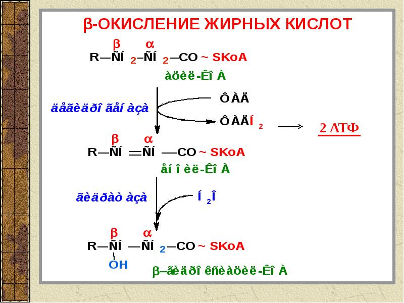 Нарушение окисления жирных кислот