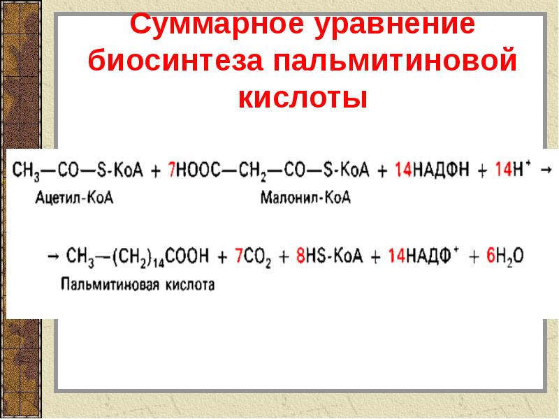 Пальмитиновая кислота. Суммарное уравнение биосинтеза жирных кислот. Уравнения реакций последнего цикла синтеза пальмитиновой кислоты. Пальмитиновая кислота + h2. Суммарное уравнение биосинтеза пальмитиновой кислоты.