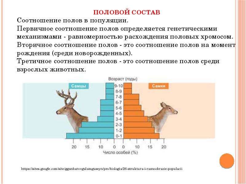 Коэффициент пол. Соотношение полов в популяции. Вторичное соотношение полов в популяции определяется. Вторичное соотношение полов в популяции определяет. Половая структура популяций соотношение полов.