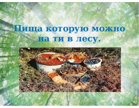 Пища, которую можно найти в лесу