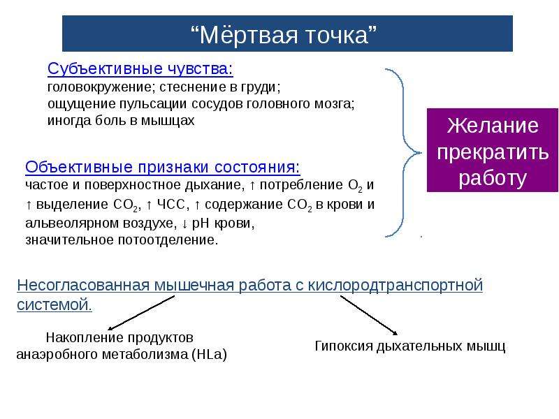 Характеристики состояния. Состояния организма при спортивной деятельности. Физиологическое состояние организма. Характеристика состояний организма. Физиологическая характеристика состояний организма это.