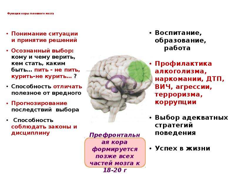 Core functions