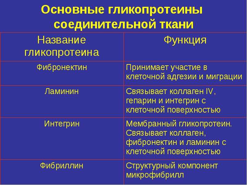 Функции соединительной ткани. Состав соединительной ткани биохимия. Функции соединительной ткани биохимия. Структура соединительной ткани биохимия. Патобиохимия соединительной ткани.