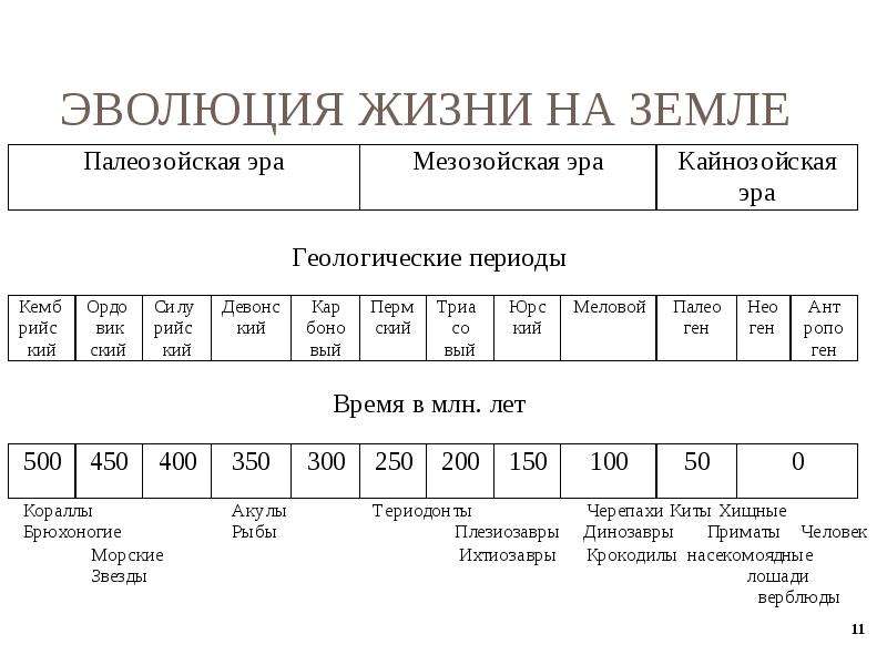 Философская антропология, слайд №11