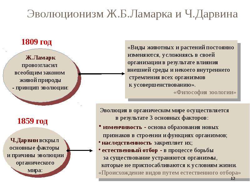 Философская антропология, слайд №12