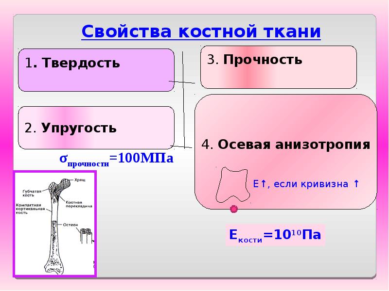 Ньютон метр в тонны