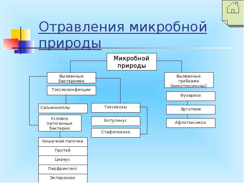 Схема пищевых отравлений