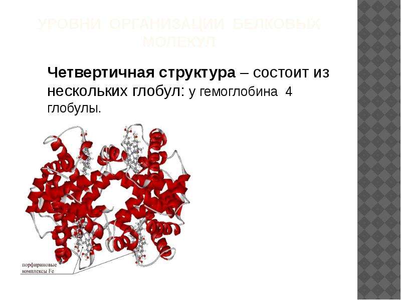 Глобула. Четвертичная структура гемоглобина. Четвертичная структура состоит из нескольких Глобул.