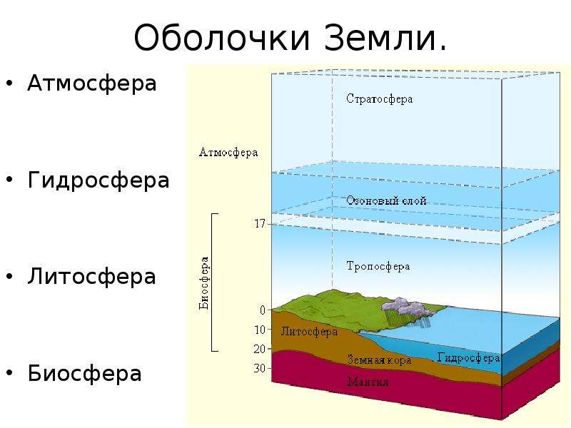 Структура биосферы картинки