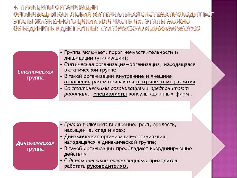 Социальная организация презентация