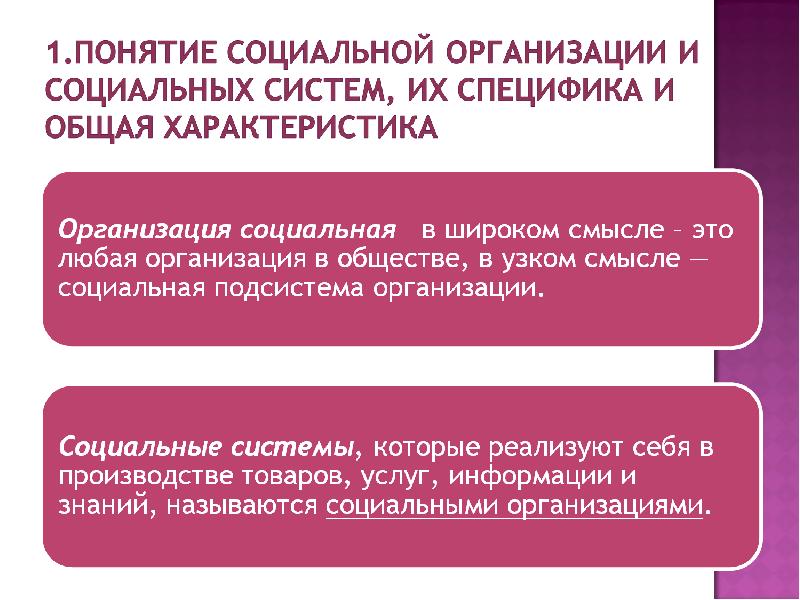 Социальная организация презентация