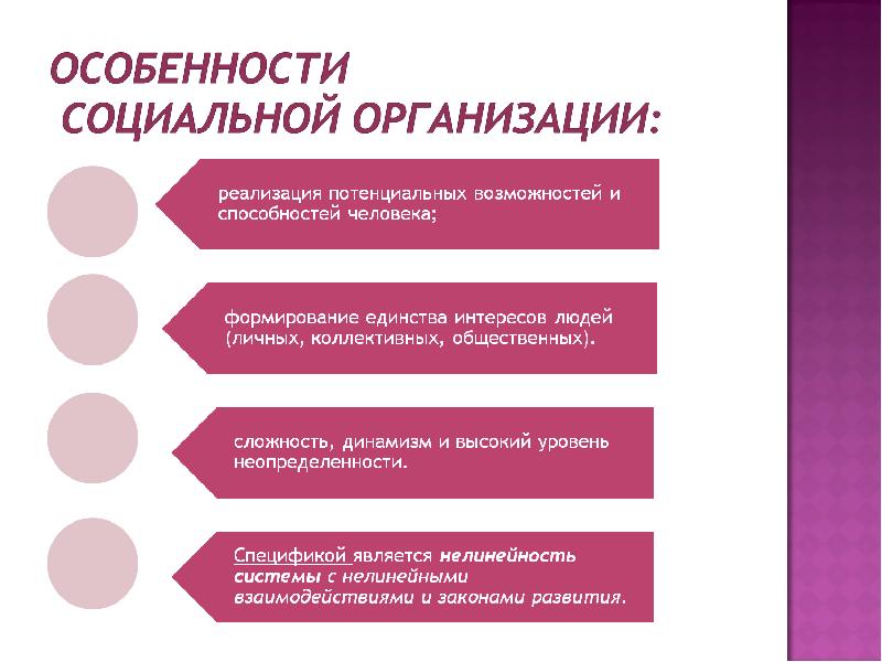 Специфика социальных проектов