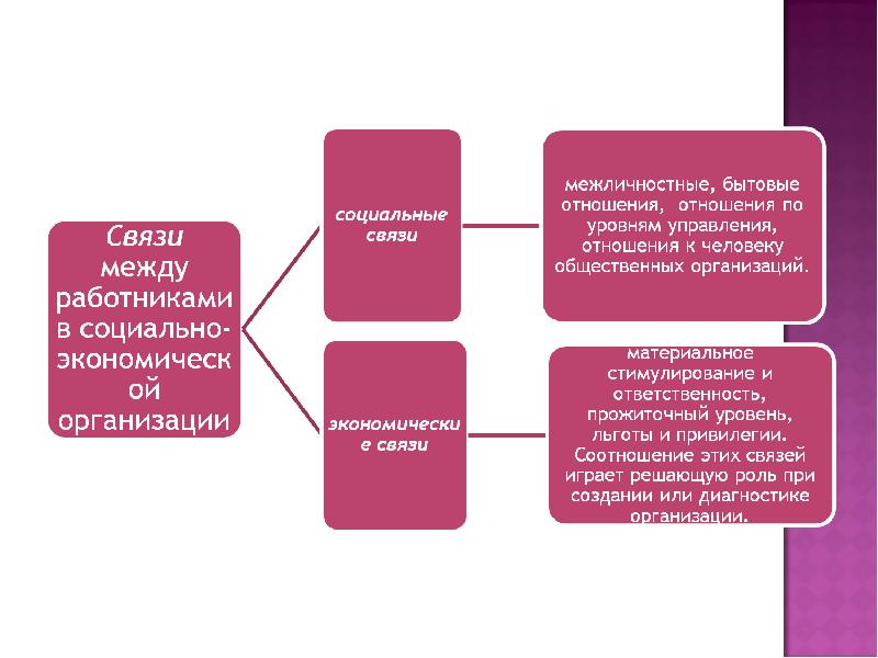 Предприятие социальная организация