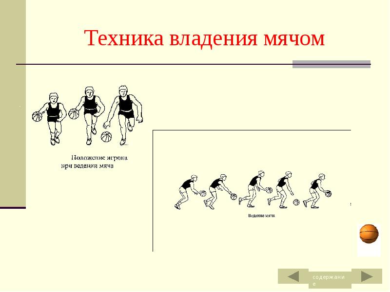 Основы техники баскетбола