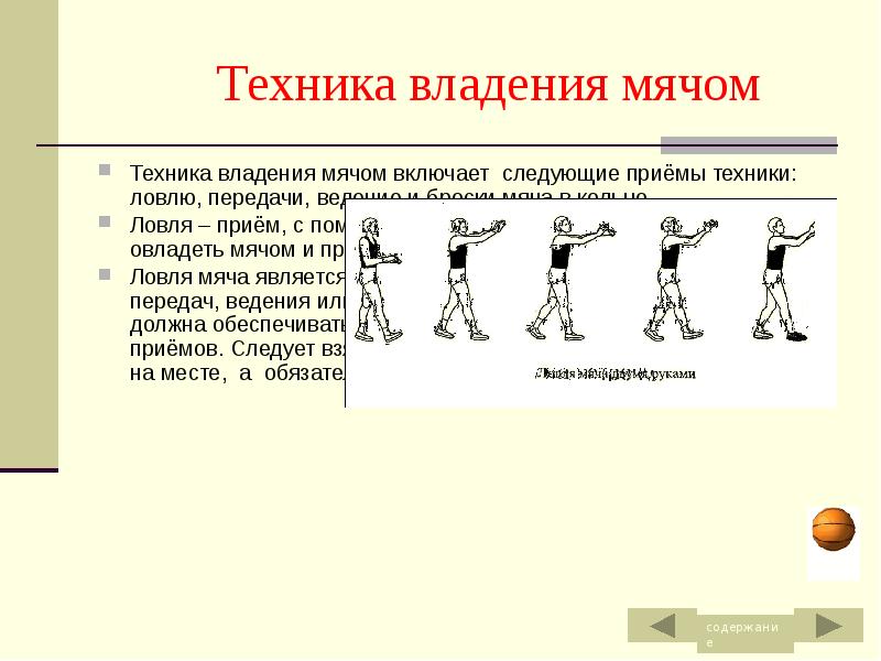 Приемы техники владения мячом в баскетболе. Освоение техники ведения мяча.