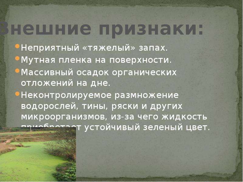 Газ с неприятным тяжелым запахом. Эвтрофикация. Эвтрофикация водоемов схема. Эвтрофикация последствия. Причины эвтрофикации.