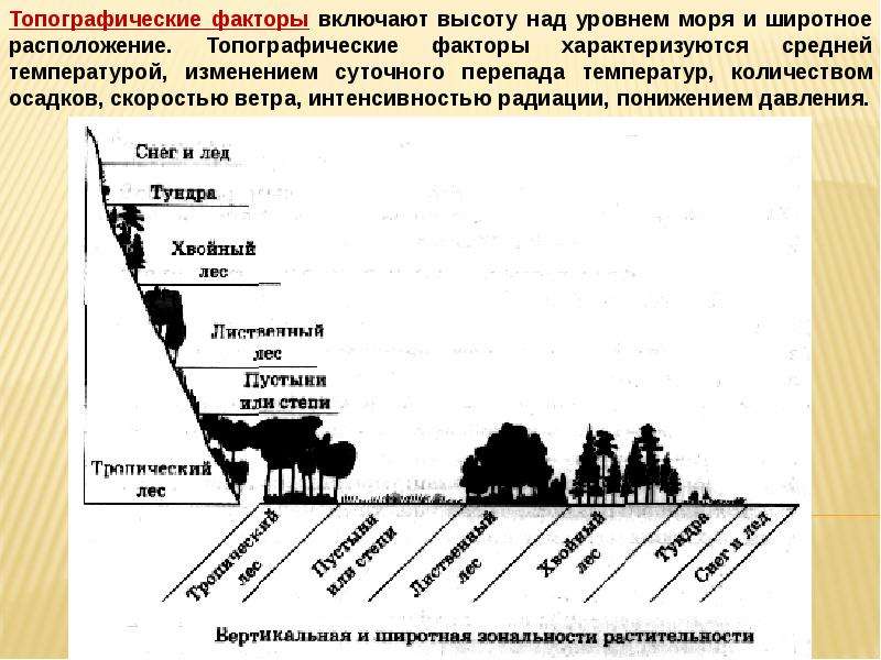 1 факторы среды. Изменения факторов среды бывают. Топографические факторы среды. Суммарность факторов среды. Факторы среды высокогорья.