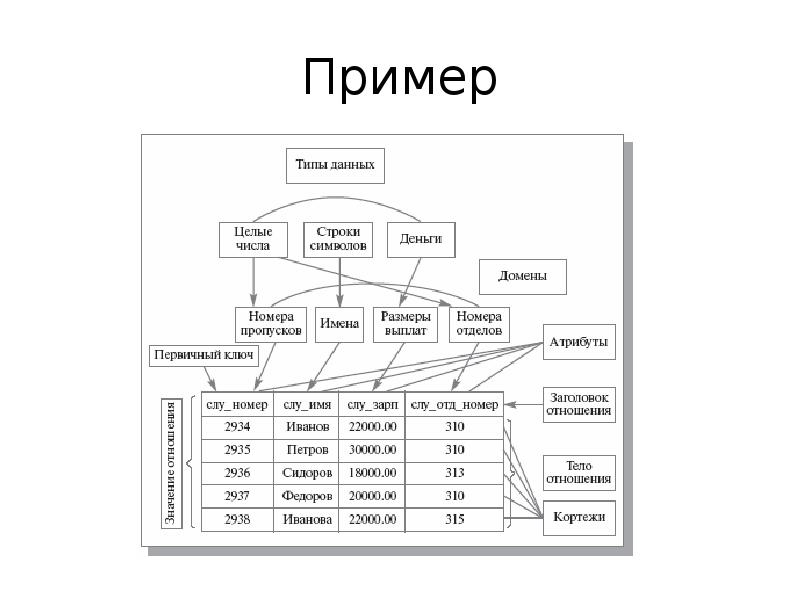 Примеры видов данных. Атрибут база данных пример. Реляционная модель базы данных. Схема реляционной базы данных. Домен базы данных.