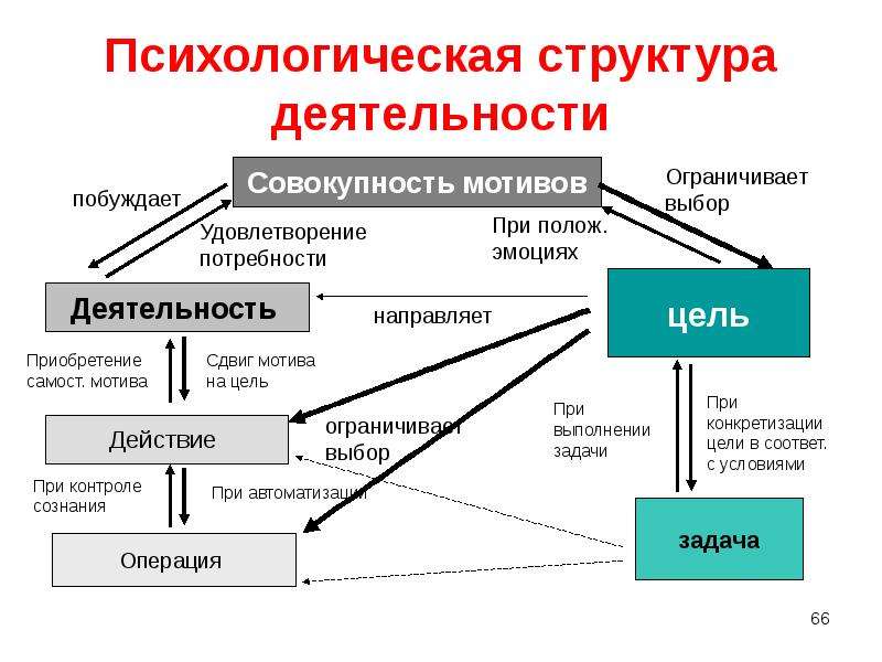 Структура психологии