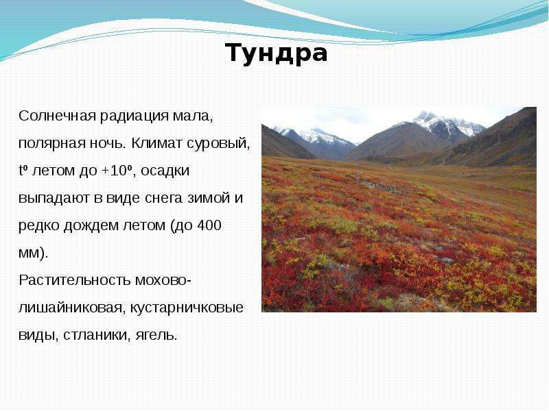 Солнце тундры текст. Тундра текст. Солнечная радиация в тундре. Тундра слово. Испаряемость в тундре.