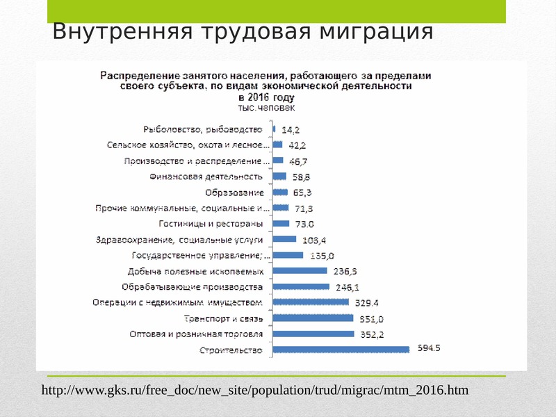 Электронная карта трудового мигранта