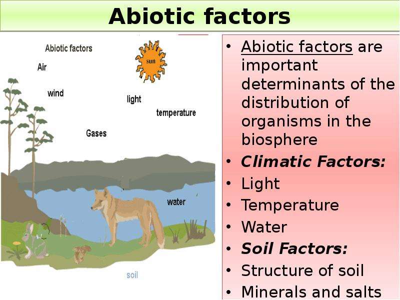 Abiotic factor тараска