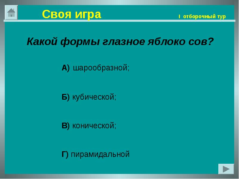 Своя игра по русскому 6 класс презентация. Какой формы глазные яблоки у Совы. Правила викторины своя игра.