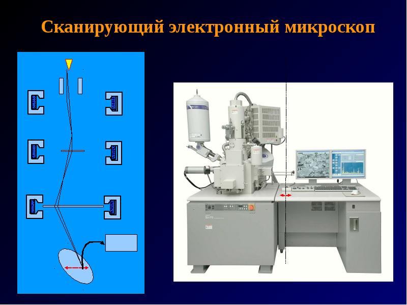 Электронная микроскопия презентация