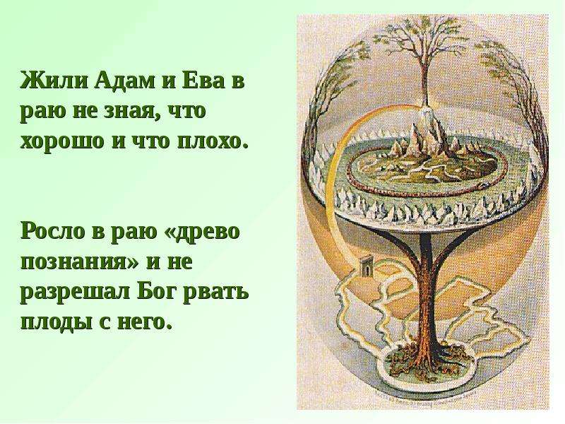 Сколько лет адаму. Древо Адама и Евы. Сколько прожил адам и ева по Библии. Сколько жили адам и ева в Библии. Сколько лет жили адам и ева на земле.