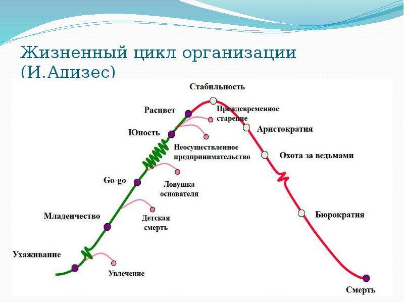 27 циклов. Жизненного цикла организации (ЖЦО). Модель Грейнера и Адизеса. Портер жизненный цикл организации. У Торберт жизненный цикл организации.