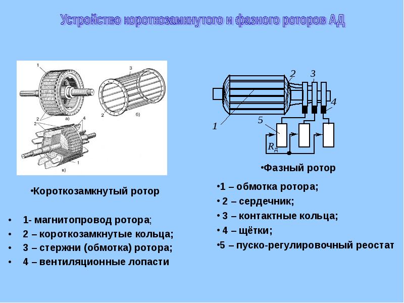 Расчет короткозамкнутого ротора