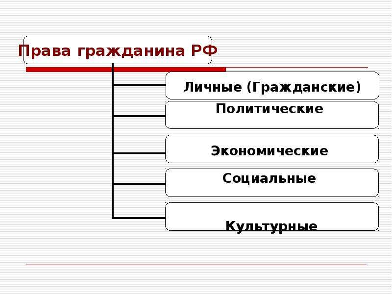 Гражданин рф план по обществу