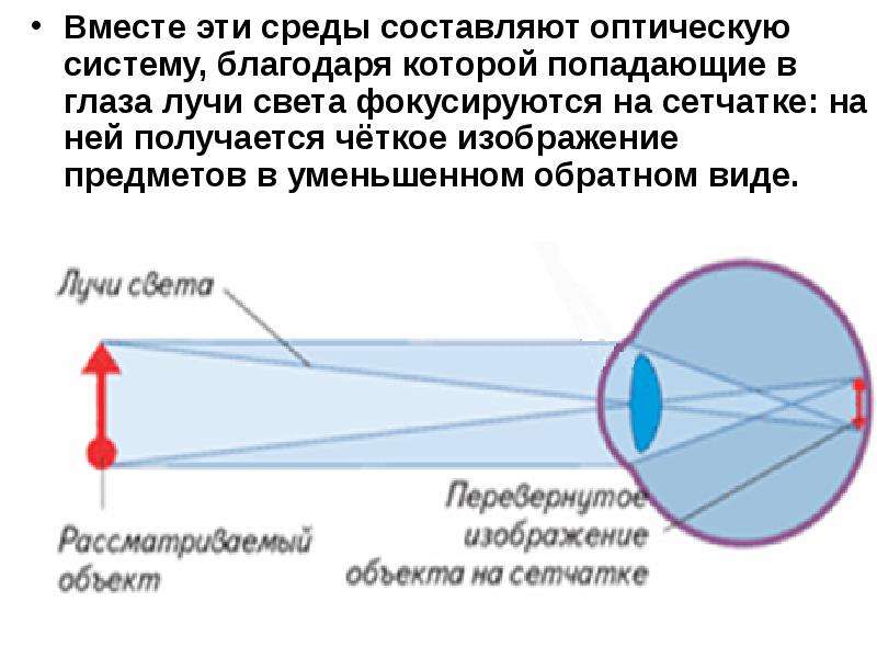 Неравенство величин изображения одного и того же предмета на сетчатке