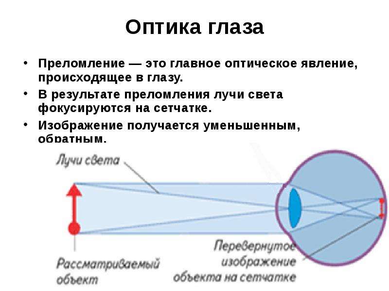 Зрение с точки зрения физики индивидуальный проект