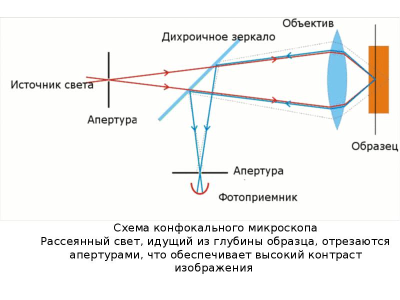 Объектив микроскопа схема