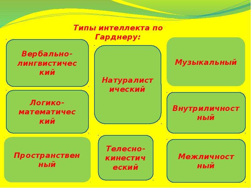 Интеллект виды. Типы интеллекта. Виды интеллекта по Гарднеру. 8 Видов интеллекта по Гарднеру. Музыкальный интеллект по Гарднеру.