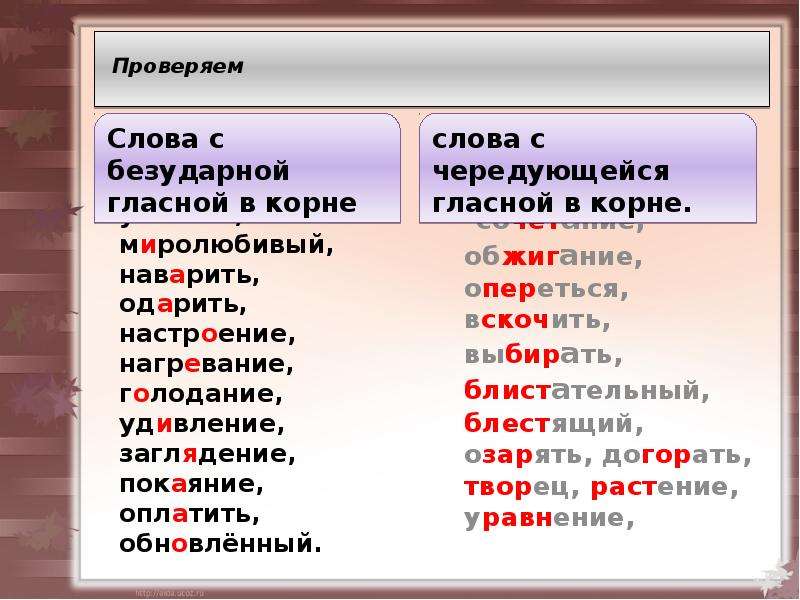 Слово класс какая орфограмма. Орфограммы в корне слова. Слова с одинаковой орфограммой. Отметь орфограммы.