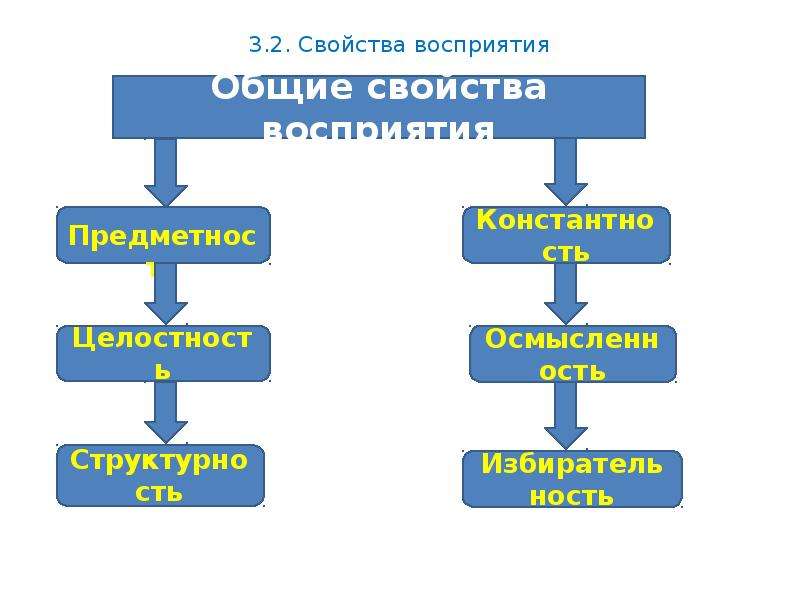 Метод ивана пирога трансформация фильтров восприятия