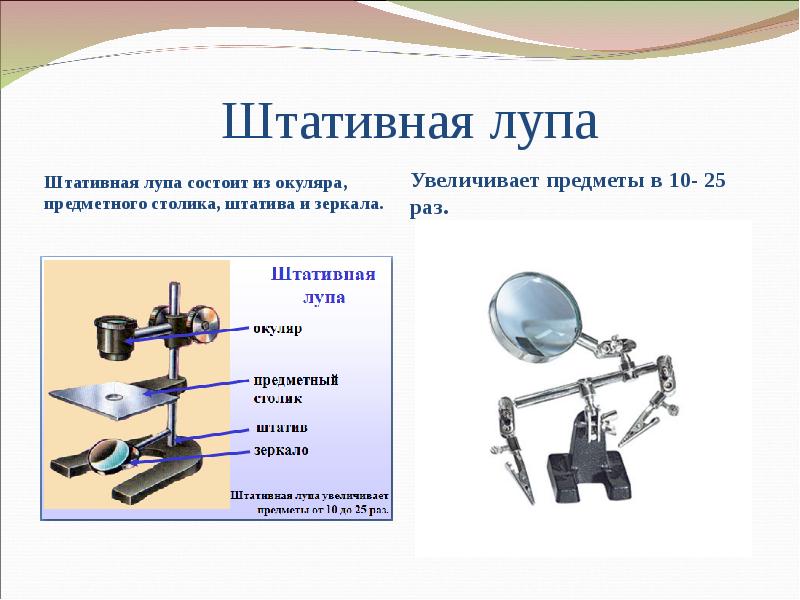 Строение штативного микроскопа