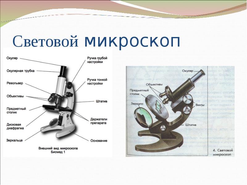 Увеличительные приборы 5 класс биология. Световой микроскоп часть окуляр таблица. Микроскоп строение окуляр функция. Световой микроскоп это увеличительный прибор?. Строение микроскопа с цифрами.