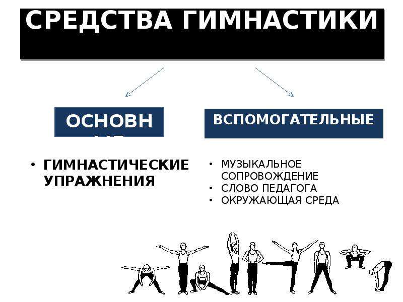 Средства упражнения. Средства гимнастики. Основные средства гимнастики. Средствами гимнастики являются. Вспомогательные средства в гимнастике.