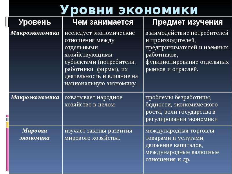 4 уровня экономики. Уровни экономики. Уровни экономической системы. Первый уровень экономики.