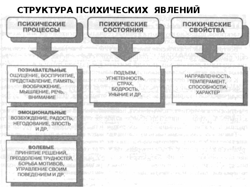 Структура явления. Психологические явления таблица. Структура психологических явлений в психологии. Структура психических процессов в психологии. Структура психики психические процессы психические состояния.