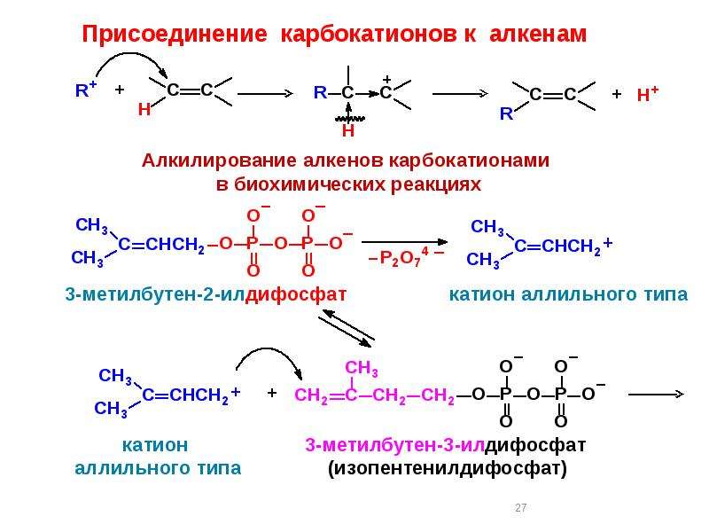 Алкилирование алкенами. Механизм реакции алкилирования. Алкилирование алкенов. Образование карбокатиона Алкены. Присоединение карбокатионов к алкенам.