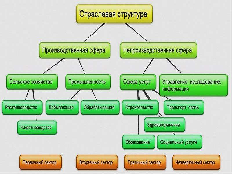 3 структуры экономики. Схема структуры хозяйства России. Структура экономики. Отраслевая структура хозяйства схема. Отраслевая структура экономики России схема.