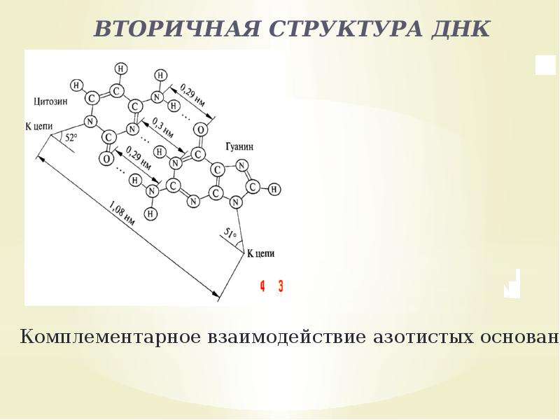 Вторичная днк